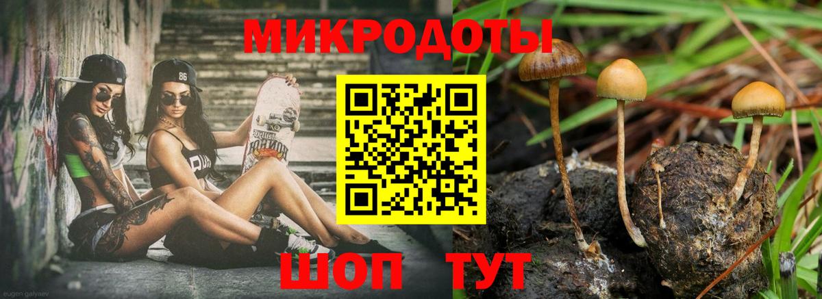 купить  сайты  Галлюциногенные грибы GOLDEN TEACHER  Вход с VPN  Дербент 